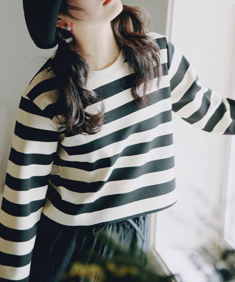 ラウンドネックワイドボーダーショートトップス