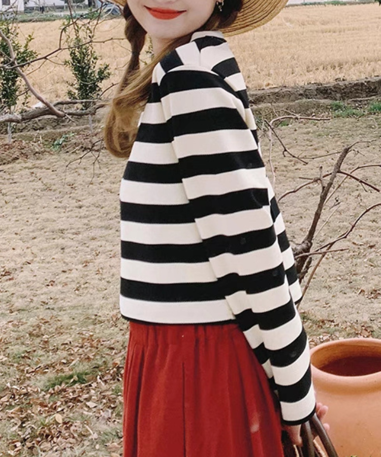 ラウンドネックワイドボーダーショートトップス