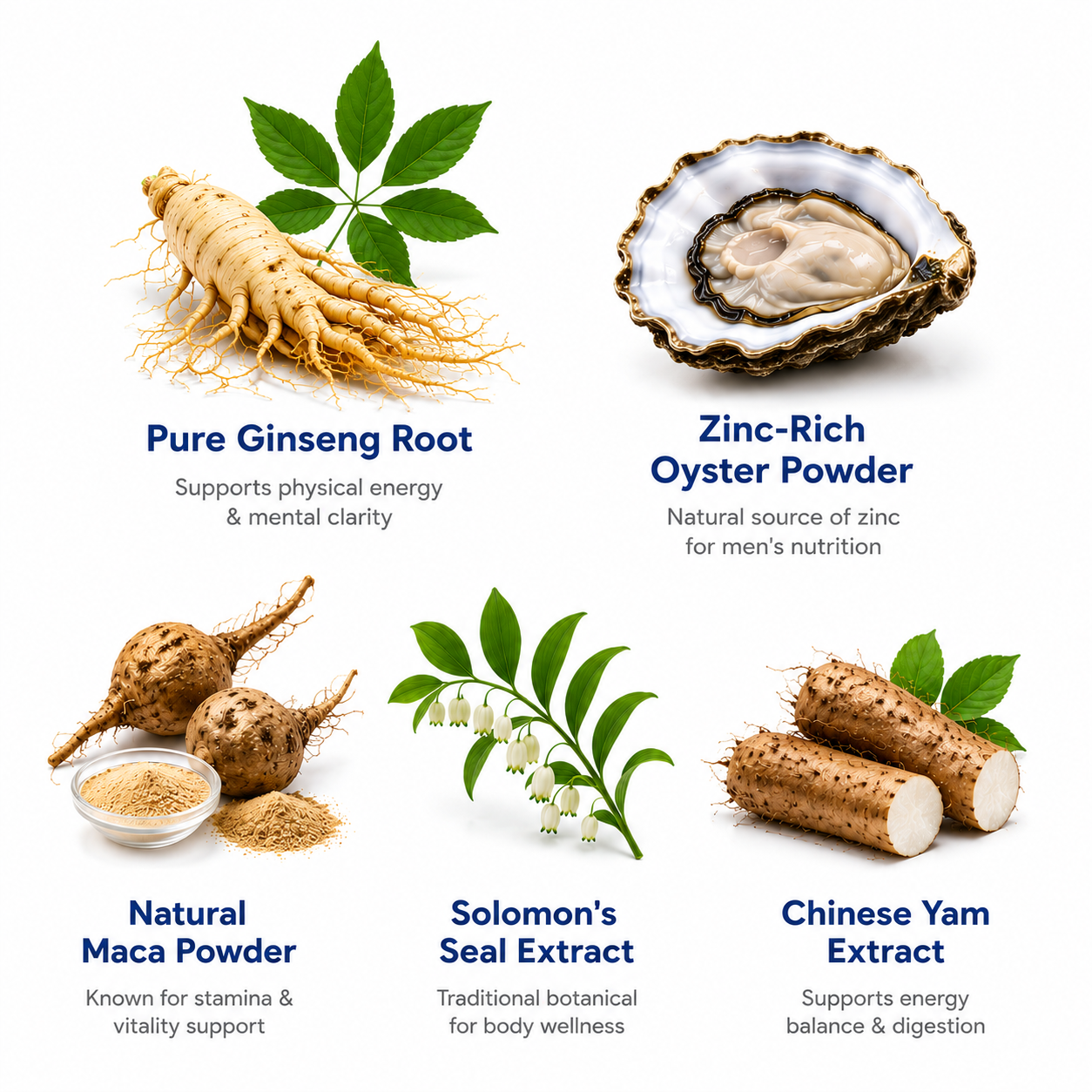 Natural Ginseng & Oyster Stamina Support for Men