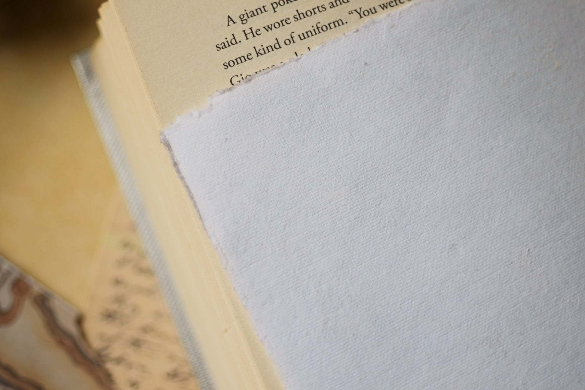 Close-up of a the reverse of The Knight and the Moth print against an open book page showing the textured surface of the print.